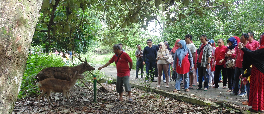 Taman Cagar Alam Pangandaran Wisata Edukasi Flora  dan  