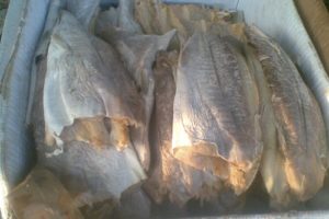 Jual Ikan Asin Jambal Roti Murah