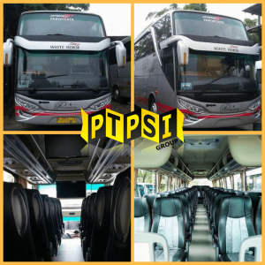 Bus Pariwisata White Horse Type SHD